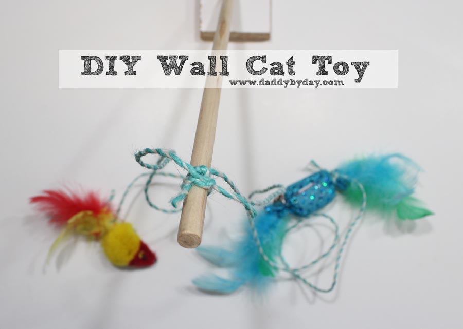 DIY Wall Cat Toy