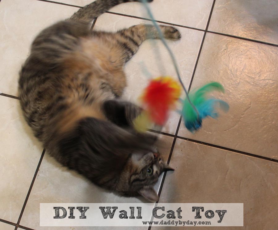 DIY Wall Cat Toy