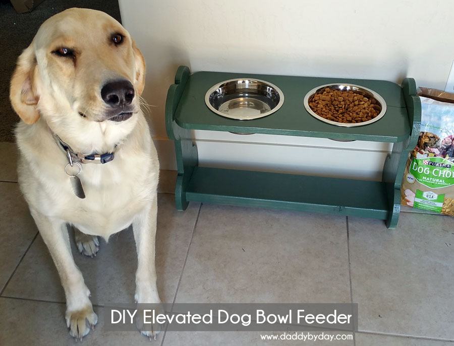 DIY Elevated Dog Bowl Feeder