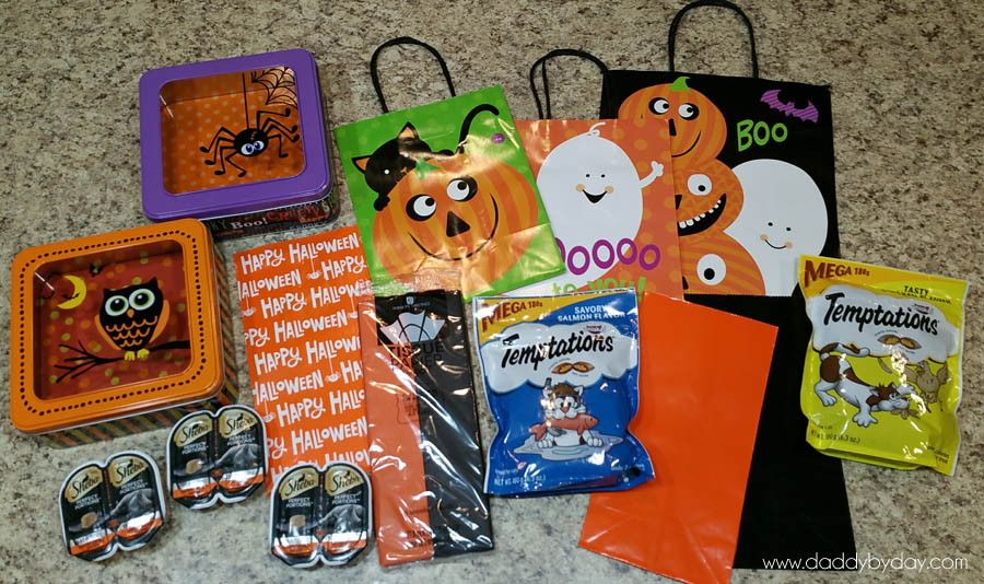 Cat Halloween Boo Kit Ideas