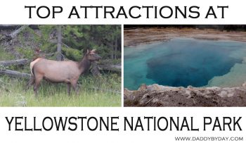 Top Attractions in Yellowstone National Park