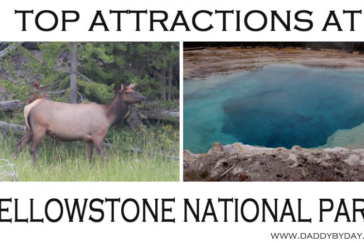 Top Attractions in Yellowstone National Park